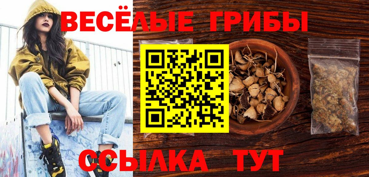 Псилоцибиновые грибы GOLDEN TEACHER  Галлюциногенные грибы GOLDEN TEACHER  Гулькевичи  Вход с VPN 